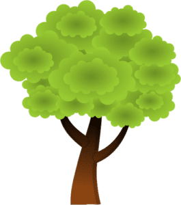 árbol indígena-CNTI